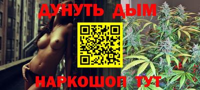 мдпв Новодвинск